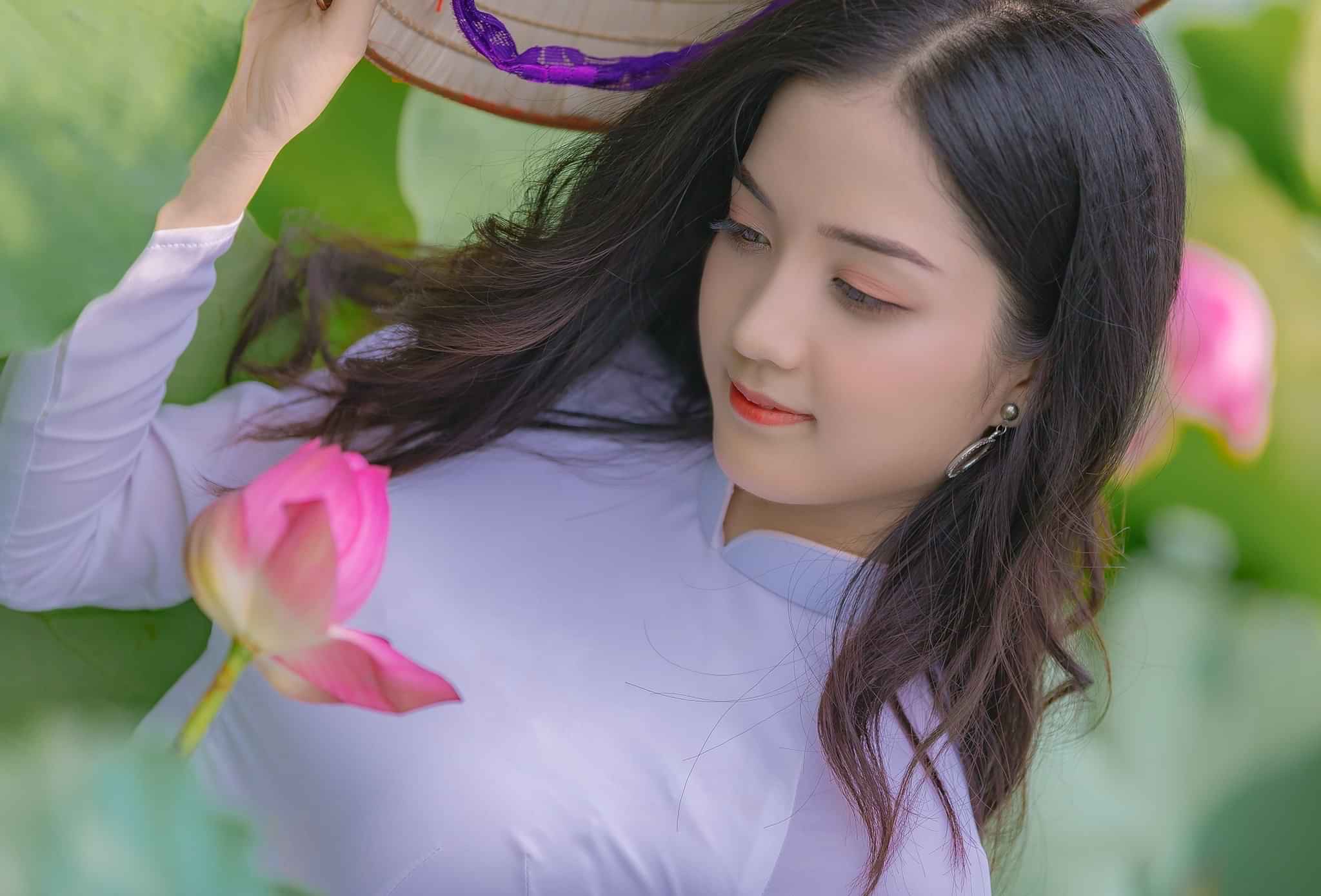 Sen Hồng Sen Hồng