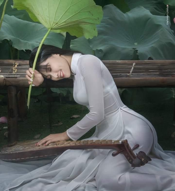 Sen Việt Sen Việt