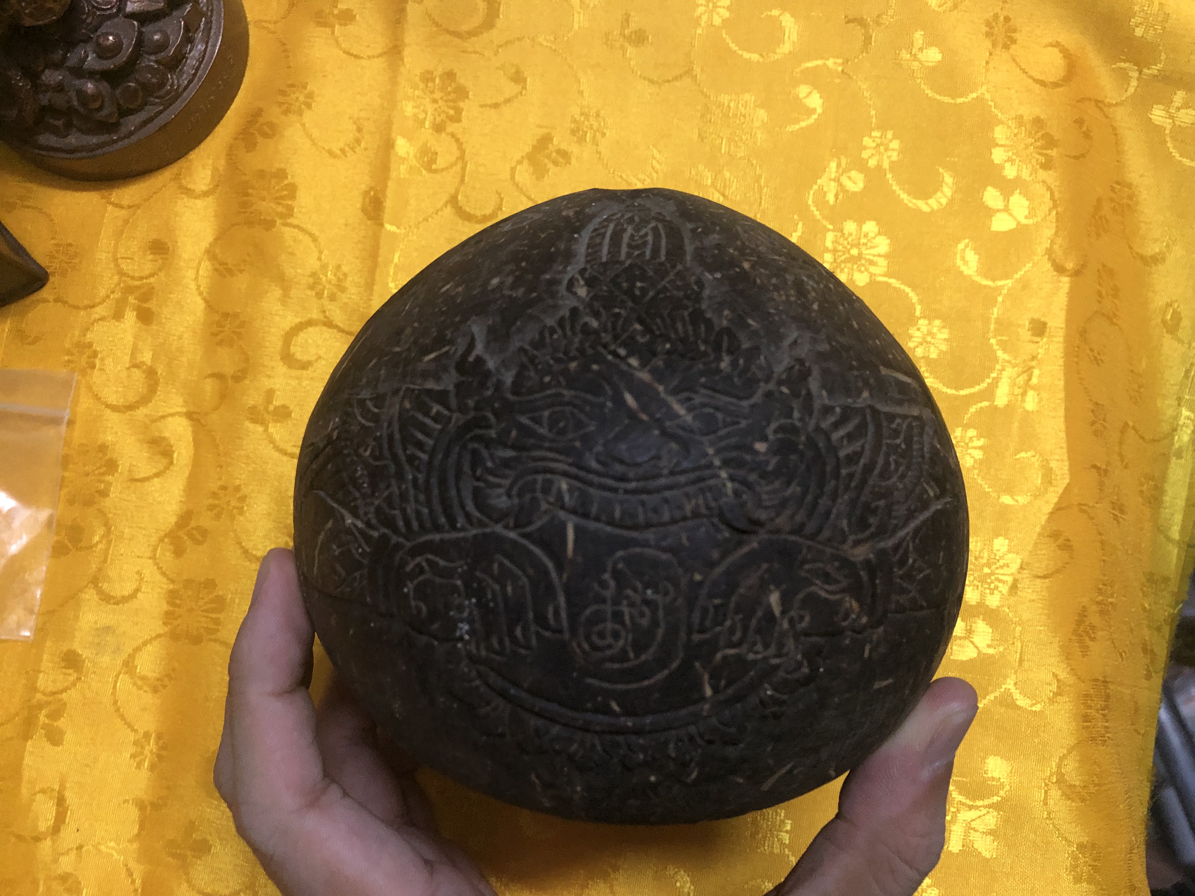 Dừa một mắt thần Rahu giải phong thủy xấu Dừa một mắt thần Rahu giải phong thủy xấu