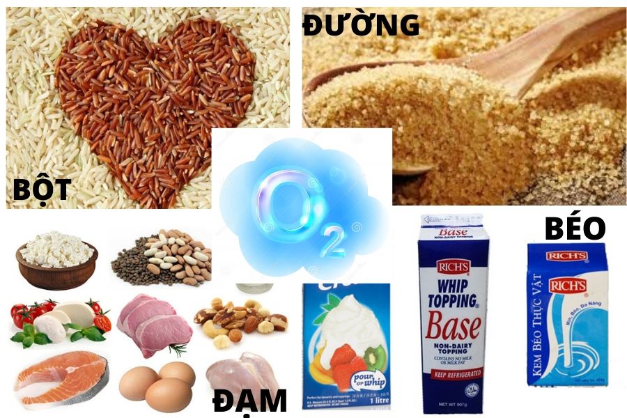 thành phần của máu thành phần của máu