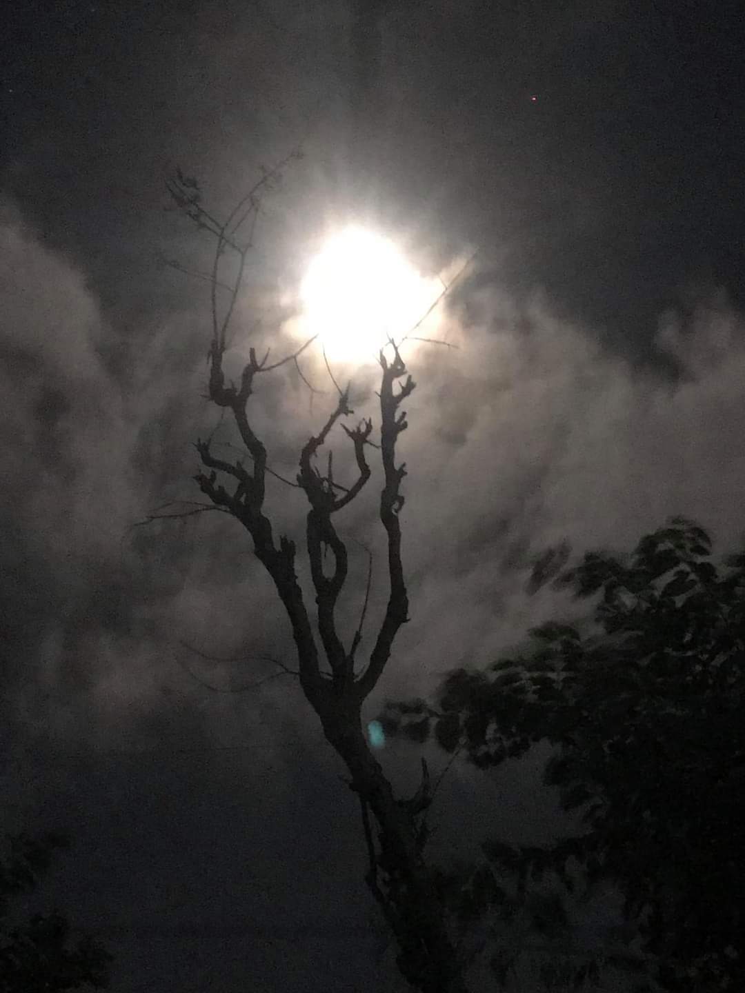 Thiên tượng tháng 11 Canh Tý Thiên tượng tháng 11 Canh Tý