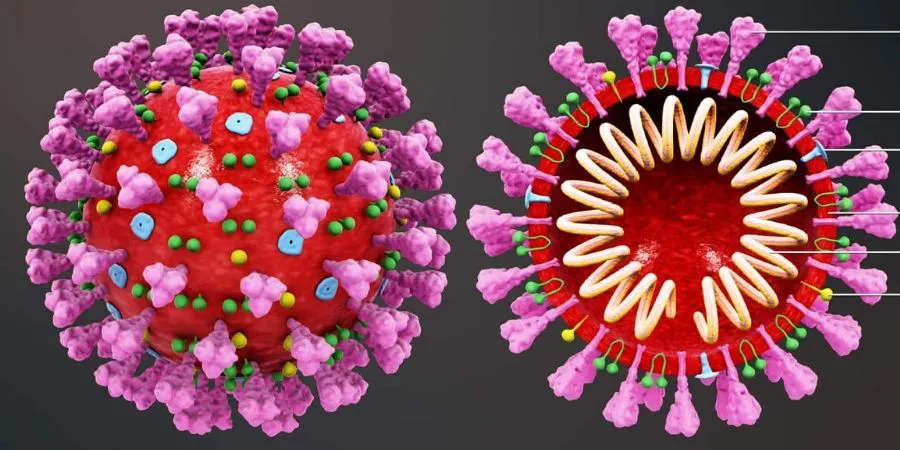 Xem bát tự đối tượng dễ nhiễm Virus Corona
