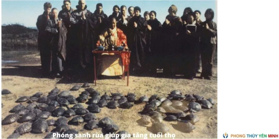 Phóng sanh đúng Chánh pháp giúp tiêu tai diên thọ hóa giải vận hạn xấu