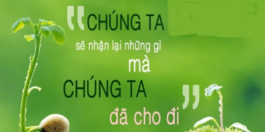 HƯỚNG DẪN XEM BÁT TỰ TỬ VI MIỄN PHÍ