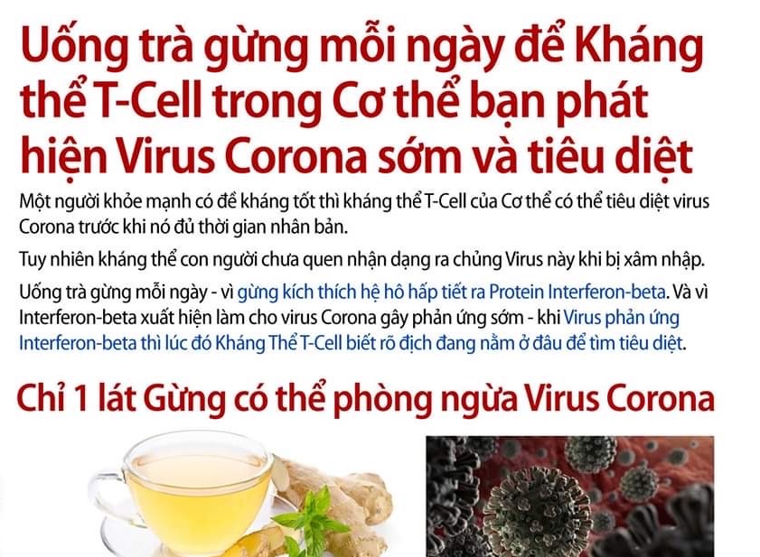 trà gừng covid 19 trà gừng covid 19