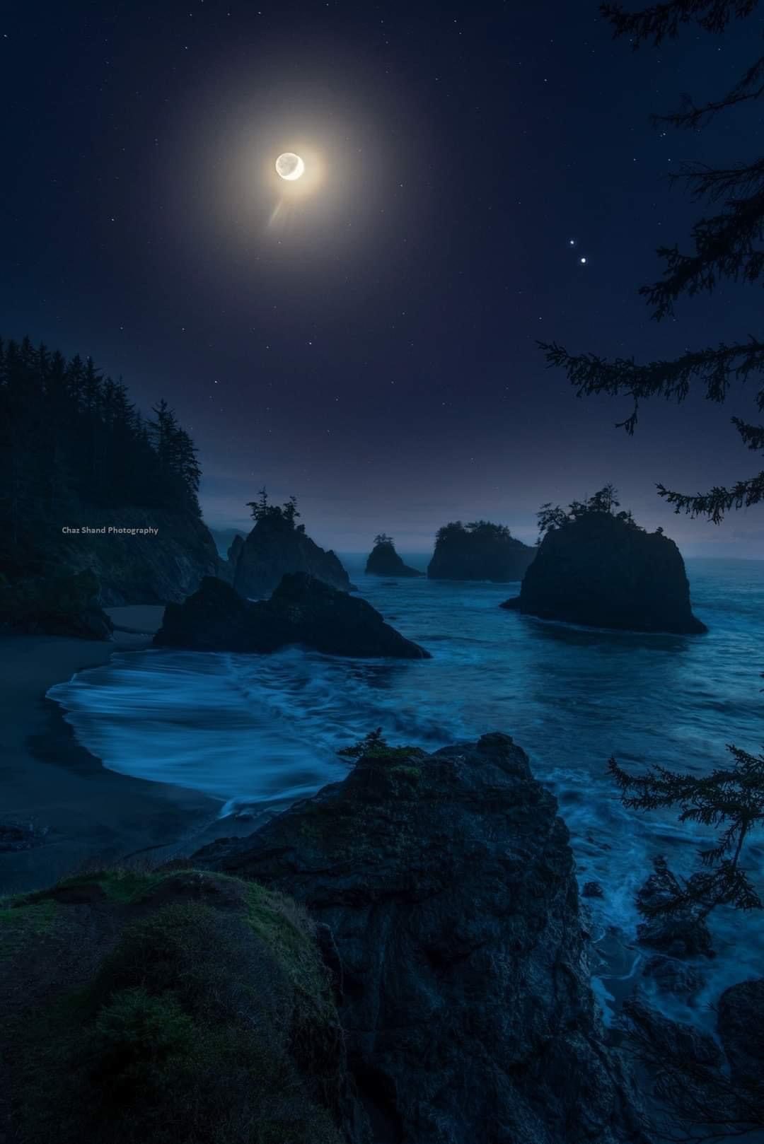 Trùng tụ 2021 Trùng tụ 2021