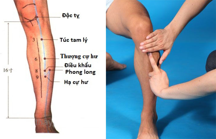 Xác định huyệt Túc Tam Lý - huyệt Trường sinh tăng thọ