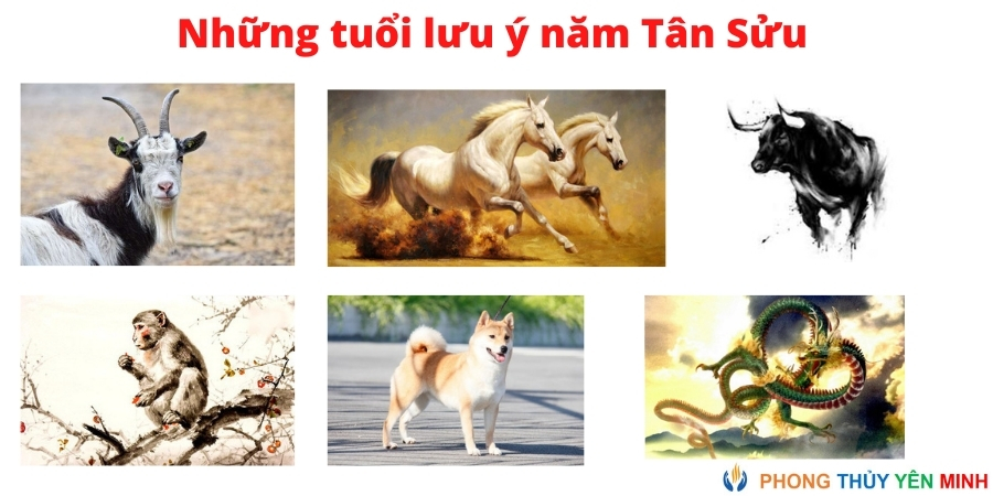 Lưu ý tuổi kỵ 12 con giáp năm tân sửu 2021 Lưu ý tuổi kỵ 12 con giáp năm tân sửu 2021