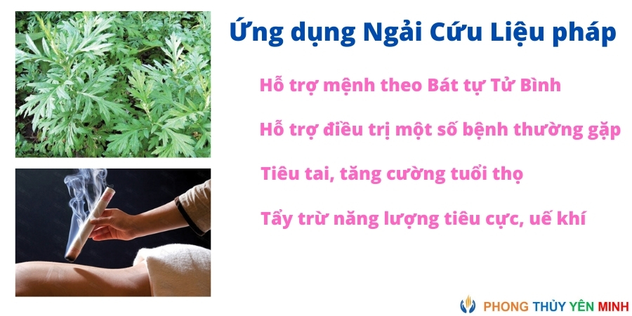 Ứng dụng ngải cứu cải vận Ứng dụng ngải cứu cải vận