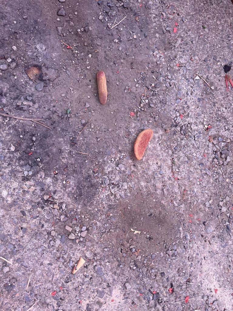 Xin keo sau khi đốt để biết oan gia trái chủ ưng thuận hay không Xin keo sau khi đốt để biết oan gia trái chủ ưng thuận hay không