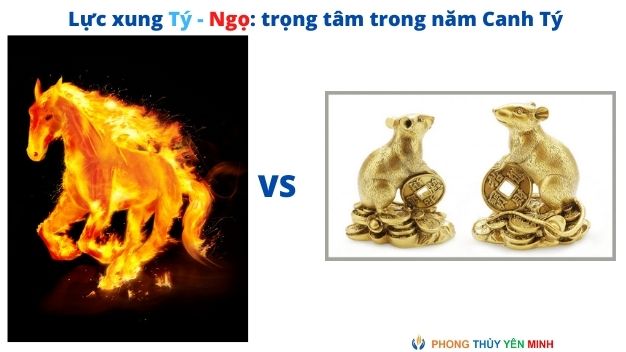 Lực xung Tý Ngọ - mật mã tai nạn năm 2020 Lực xung Tý Ngọ - mật mã tai nạn năm 2020