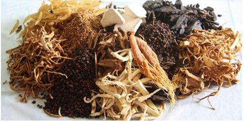 cân sấy ẩm dược liệu cân sấy ẩm dược liệu