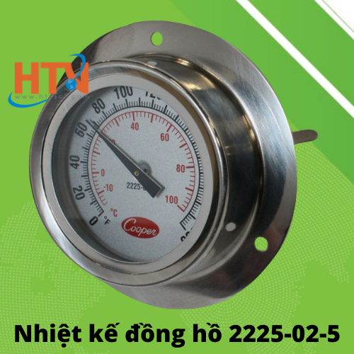 Nhiệt kế đồng hồ 2225-02-5