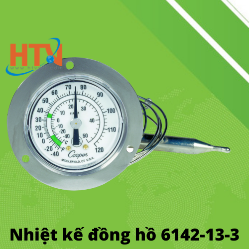 Nhiệt kế đồng hồ 6142-13-3