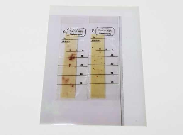 TEST NHANH SALMONELLA TRONG THỰC PHẨM SUNCOLI