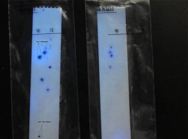 TEST NHANH STAPHYLOCOCCUS TRONG THỰC PHẨM SUNCOLI - 100CÁI/HỘP