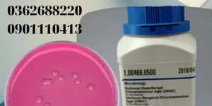 DRBC AGAR (DICHLORAN-ROSE BENGAL CHLORAMPHENICOL)