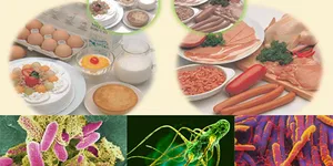 CÁCH KIỂM TRA VÀ PHÒNG NGỪA 6 LOẠI VI KHUẨN GÂY HẠI CHO THỰC PHẨM