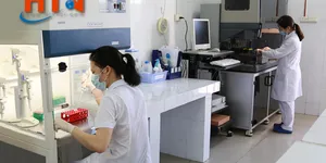 Quy trình lấy mẫu bệnh phẩm để xét nghiệm