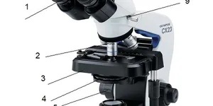 Hướng dẫn sử dụng kính hiển vi Olympus CX23