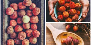 BẢO QUẢN VÀ ĐÓNG GÓI VẢI THIỀU SAU THU HOẠCH