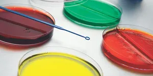 MÔI TRƯỜNG NUÔI CẤY (CULTURE MEDIUM) VI SINH