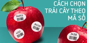 GIẢI ĐÁP Ý NGHĨA NHỮNG MÃ SỐ TRÊN TRÁI CÂY NHẬP KHẨU