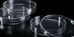 DỤNG CỤ THÍ NGHIỆM BẰNG THỦY TINH - ĐĨA PETRI- TIÊU CHUẨN QUỐC GIA TCVN 11089:2015 (ISO 13132:2011)