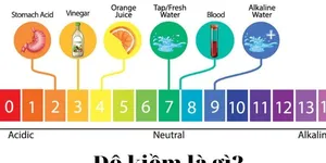 ĐỘ KIỀM ALKALINITY