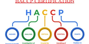 Giấy chứng nhận HACCP và những điều cần biết