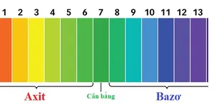 Sự khác biệt giữa giấy quỳ và giấy pH