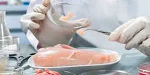 HỆ THỐNG QUẢN LÝ AN TOÀN THỰC PHẨM - YÊU CẦU ĐỐI VỚI CÁC TỔ CHỨC TRONG CHUỖI THỰC PHẨM - TIÊU CHUẨN QUỐC GIA TCVN ISO 22000:2018