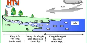 HƯỚNG DẪN CÁC BƯỚC SỬ DỤNG TỶ TRỌNG KẾ ĐỂ ĐO ĐỘ MẶN