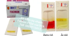 FORMOL LÀ GÌ? KIT KIỂM TRA NHANH FORMON TRONG THỰC PHẨM - FT04 GIÚP KIỂM TRA HÀM LƯỢNG FORMOL TRONG HẢI SẢN SỐNG, THỊT CÁ TƯƠI, BÁNH PHỞ, BÚN,…