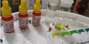 5 CHẤT ĐỘC CÓ THỂ ẢNH HƯỞNG TỚI QUÁ TRÌNH NITRATE HÓA