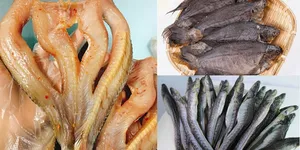 NHỮNG YẾU TỐ CHỦ YẾU ẢNH HƯỞNG ĐẾN TỐC ĐỘ LÀM KHÔ