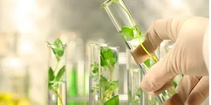 TƯ VẤN LẮP ĐẶT PHÒNG THÍ NGHIỆM NUÔI CẤY THỰC VẬT