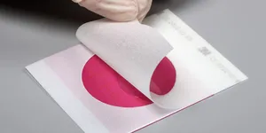HƯỚNG DẪN SỬ DỤNG ĐĨA PETRIFILM KIỂM TỔNG SỐ VI KHUẨN HIẾU KHÍ