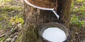 QUY CHUẨN KỸ THUẬT QUỐC GIA VỀ NƯỚC THẢI CÔNG NGHIỆP CHẾ BIẾN CAO SU THIÊN NHIÊN- QCVN 01:2008BTNMT
