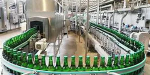 ẢNH HƯỞNG CỦA NHIỆT ĐỘ ĐẾN QUÁ TRÌNH LÊN MEN BIA