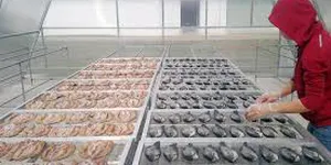 THUỶ SẢN KHÔ – YÊU CẦU VỆ SINH - TIÊU CHUẨN VIỆT NAM  TCVN 5649 : 2006