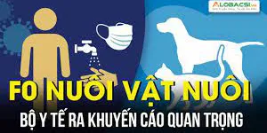 BỘ Y TẾ: F0 KHÔNG ĐƯỢC TIẾP XÚC VỚI VẬT NUÔI TRONG NHÀ
