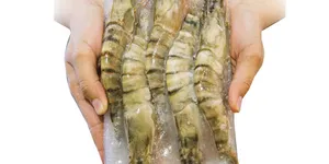 TÔM VỎ ĐÔNG LẠNH - TIÊU CHUẨN VIỆT NAM TCVN 4381 : 2009