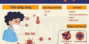Triệu chứng của COVID-19