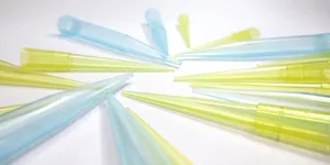 ĐẦU CÔN LÀ GÌ? ĐẦU TÍP LÀ GÌ?