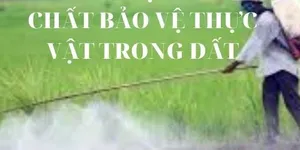 QUY CHUẨN KỸ THUẬT QUỐC GIA  QCVN 15:2008/BTNMT -VỀ DƯ LƯỢNG HÓA CHẤT BẢO VỆ THỰC VẬT TRONG ĐẤT