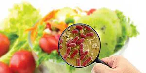 VI KHUẨN VIBRIO VÀ NHỮNG ĐỀU CẦN BIẾT- HƯỚNG DẪN PHÁT HIỆN VIBRIO BẰNG GIẤY KIỂM TRA VIBRIO (LOẠI 4) CỦA SUNCOLI