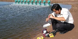 CÁC YẾU TỐ ẢNH HƯỞNG ĐẾN CHẤT LƯỢNG NƯỚC NUÔI TÔM