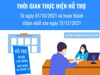 Người lao động nên chuẩn bị gì để nhận gói hỗ trợ từ Quỹ bảo hiểm thất nghiệp một cách nhanh và chính xác nhất?