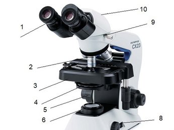 Hướng dẫn sử dụng kính hiển vi Olympus CX23